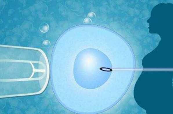 国内专业三代试管代孕机构,福建比较好的三代试管医院已公布，附比较新福建试管医院排名